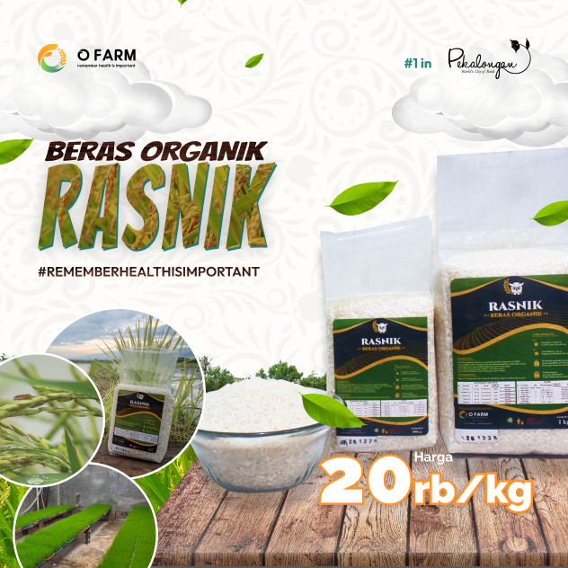 

Beras Organik "Rasnik" - Pertanian O Farm