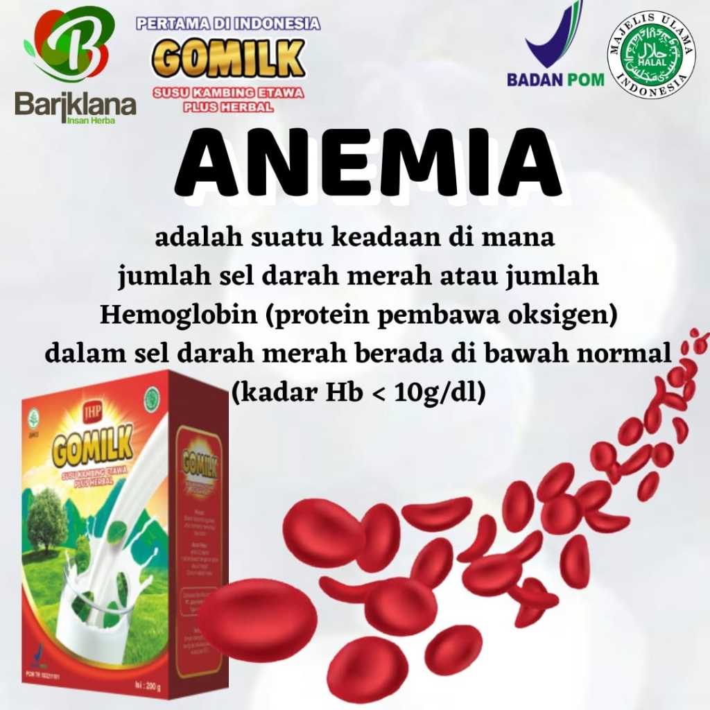 

Susu kambing Etawa untuk penderita anemia/Susu kambing etawa GOMILK