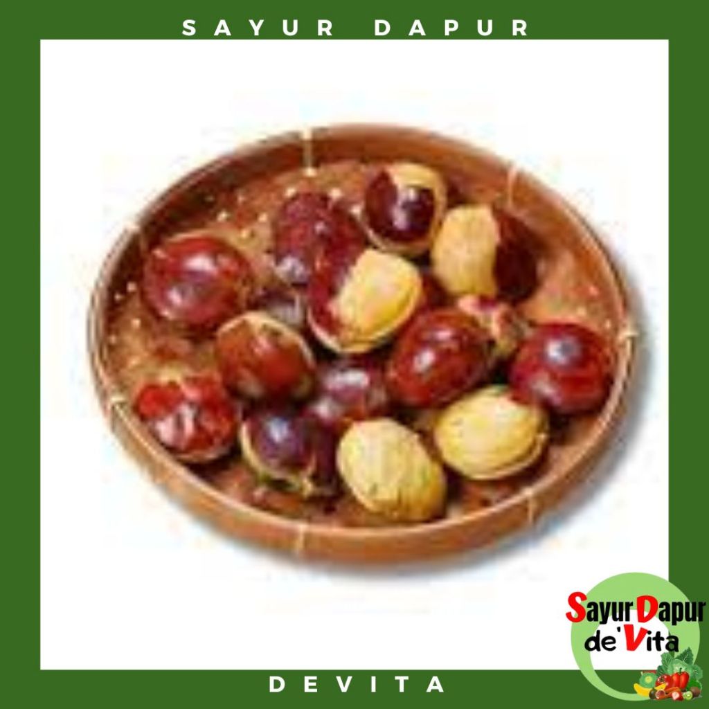 

Jengkol Tua, Super, Mentah, Murah 250 gram