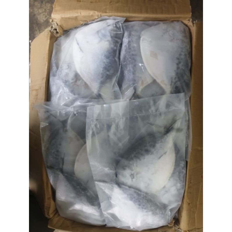 

Ikan Semar @1kg /Frozen ikan semar