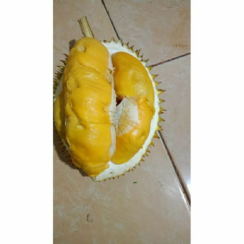 

durian musang king fresh