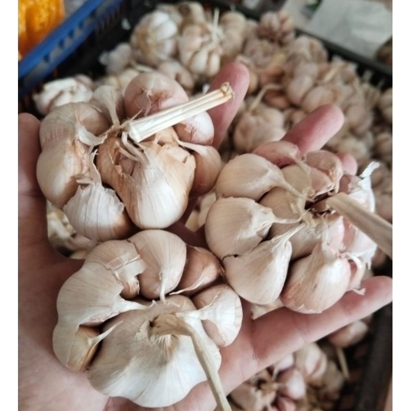

BAWANG PUTIH 1KG
