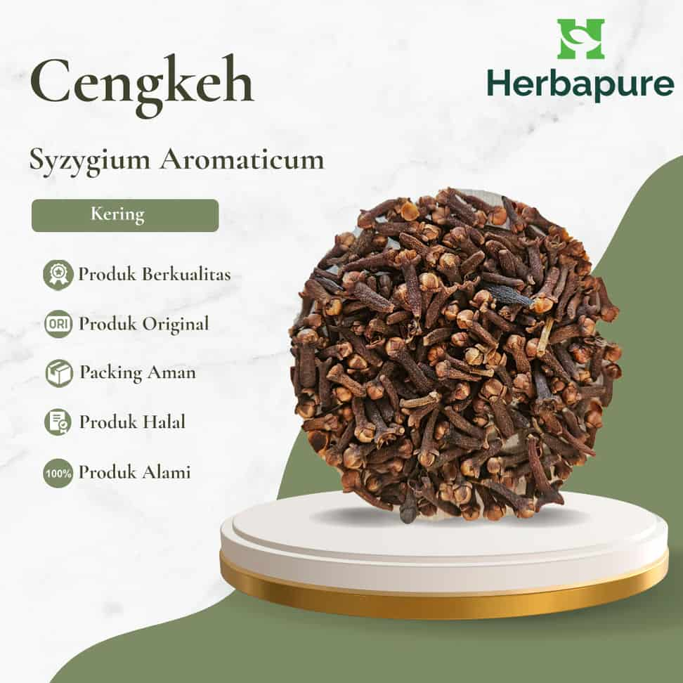 

Herbapure - Cengkeh Kering Utuh Rempah Aromatik untuk Teh, Wedang, Masakan | Menghangatkan Tubuh & Menyegarkan Nafas