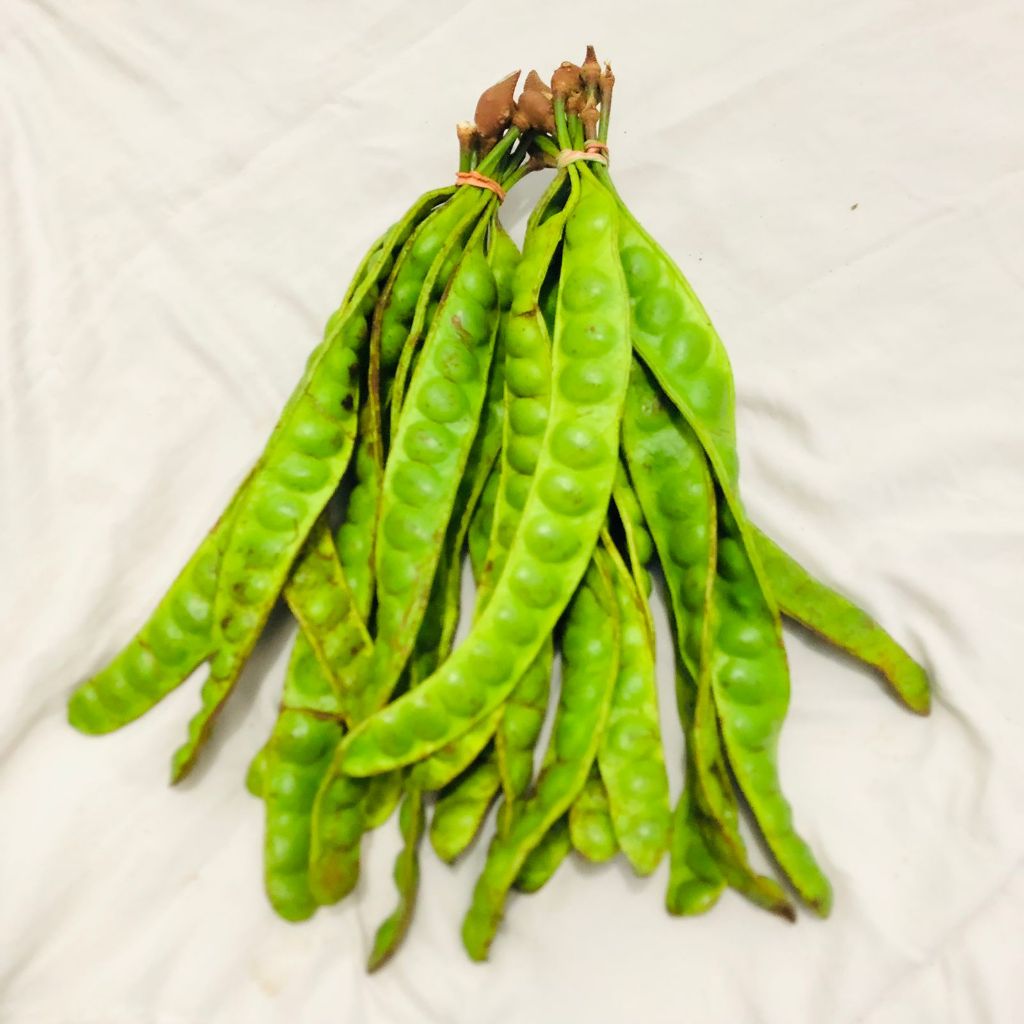 

Petai Pete Tua Murah 10 Papan/1 Ikat - Tropical Stink Bean