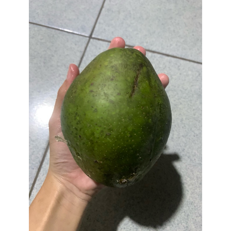 

Kedondong bangkok Per 1 kg superr jumbo