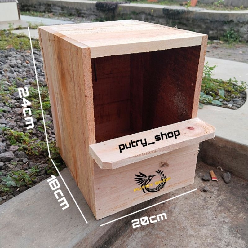 Glodok murai cucak ijo pintu belakang