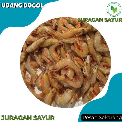 

Udang Segar Dogol - Pink Shrimp / Udang Dogol 1 kg / Udang Laut - Udang Dogol Segar - Juragan Sayur