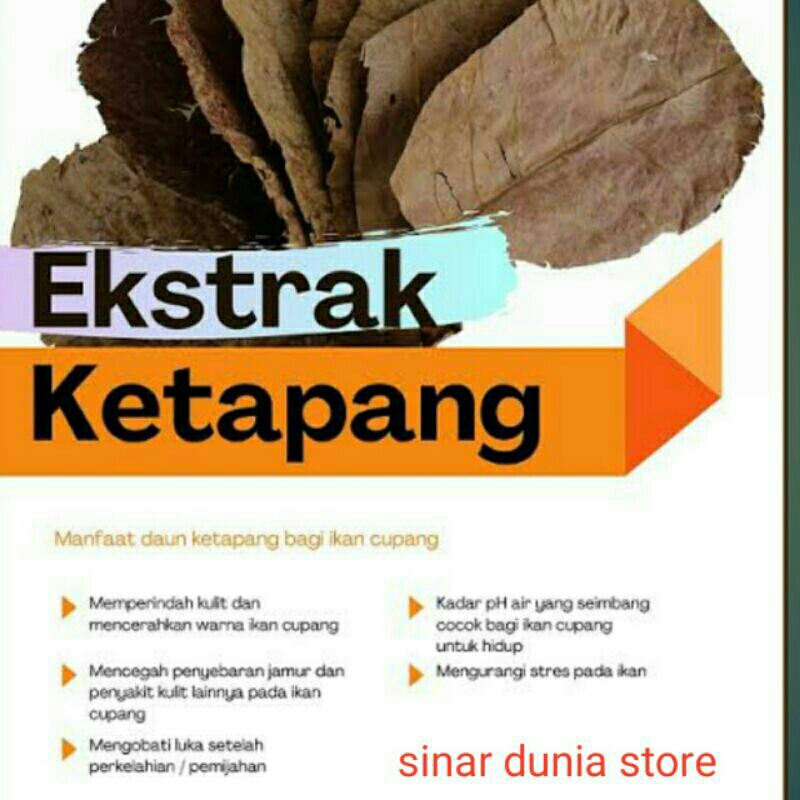 

ESTRAK DAUN KETANGPANG ASLI 350ML
