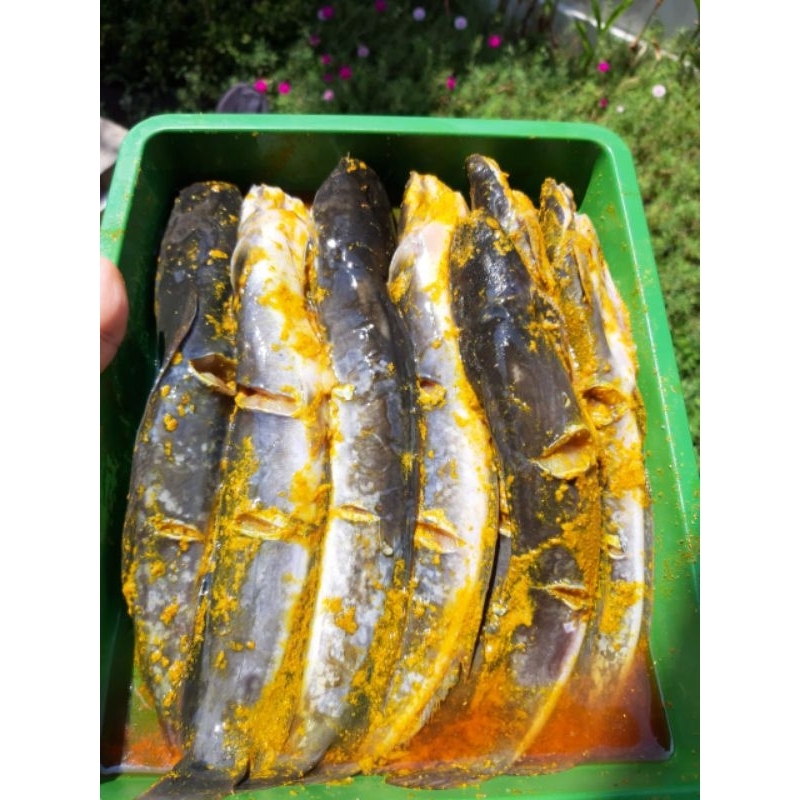 

lele berbumbu frozen food