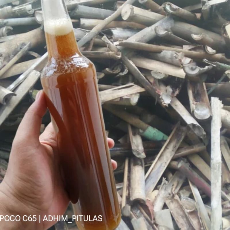 

Madu Tawon hutan Khas Jepara 460ml