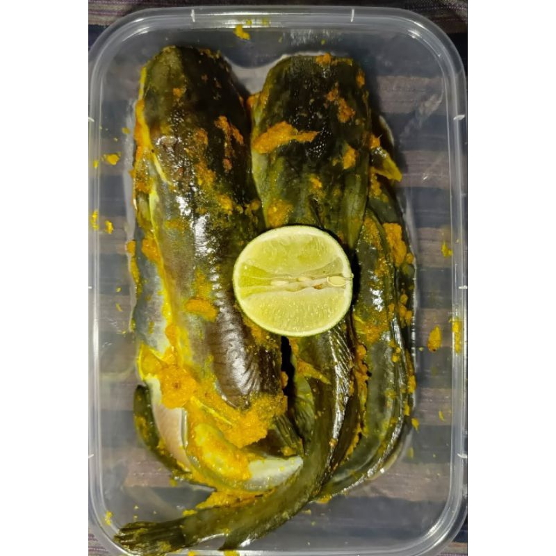 

ikan lele siap goreng