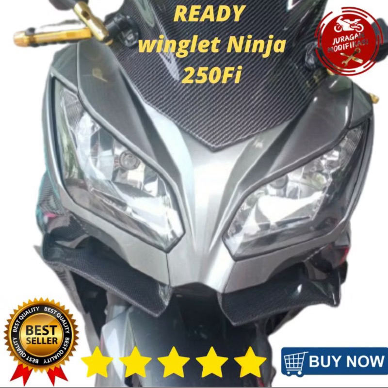 winglet ninja fi 250 old carbon ninja250fi lama