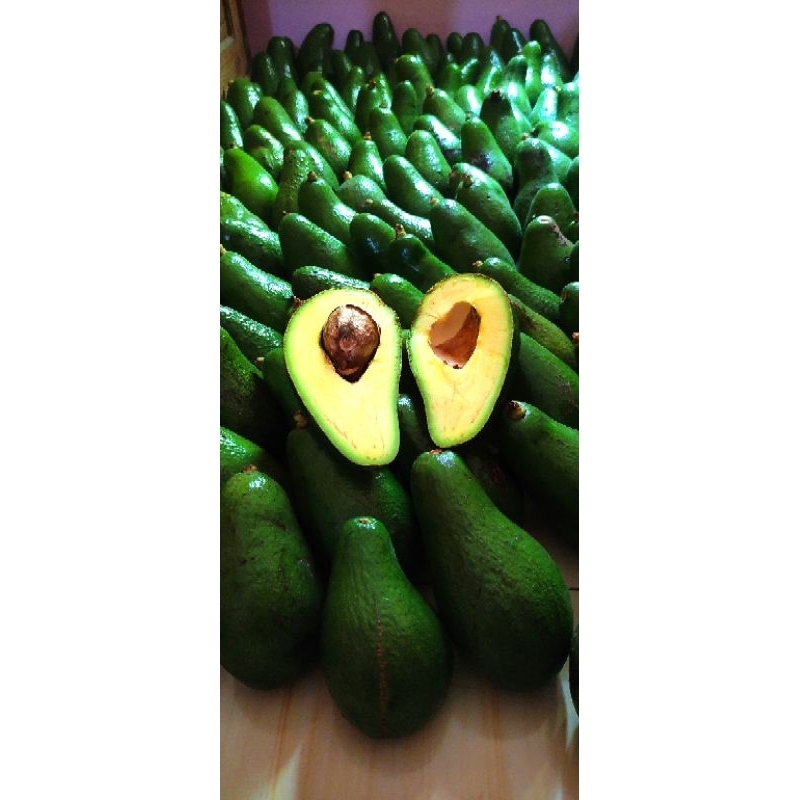 

Alpukat pluwang / pangeran spek market 1 kg