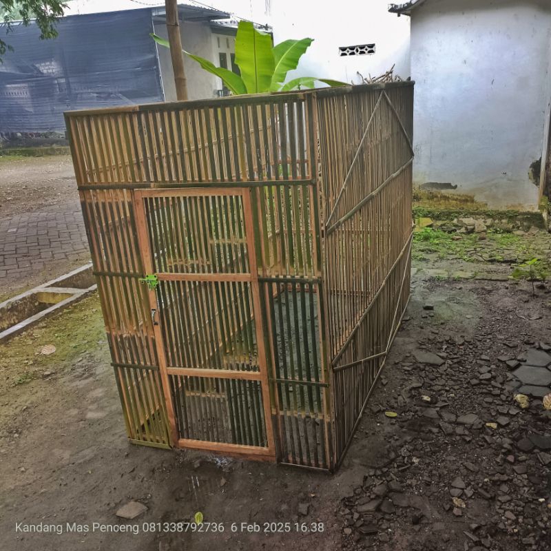 Kandang ayam umbaran/tenggaran