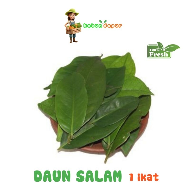 

DAUN SALAM FRESH Harga per 1 pack -Kebun Dapur-