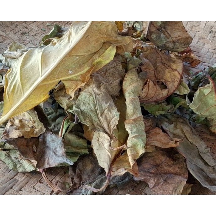 

Daun Awar Awar Kering Alami / Natural Dried Nutmeg Leaves