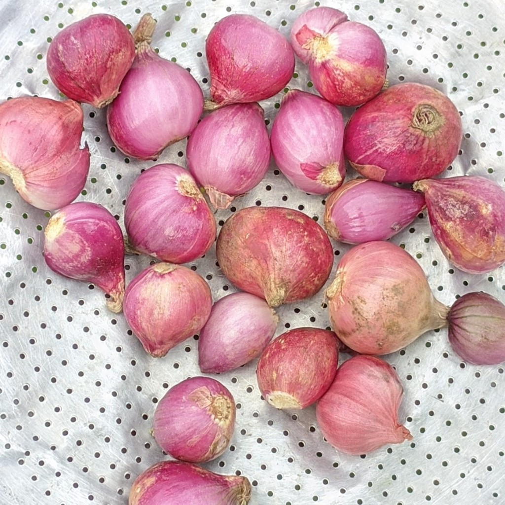 

Bawang Merah Lokal Grade A 500gram Fresh Termurah