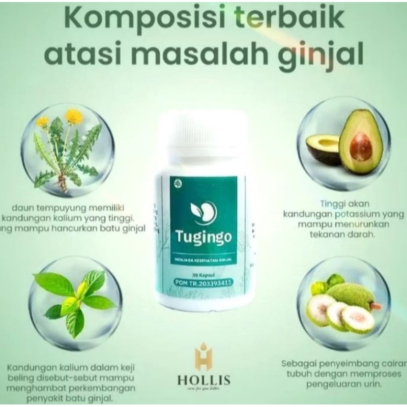 Tugingo Asli Original Obat Tugingo Mengatasi Masalah Batu Ginjal.