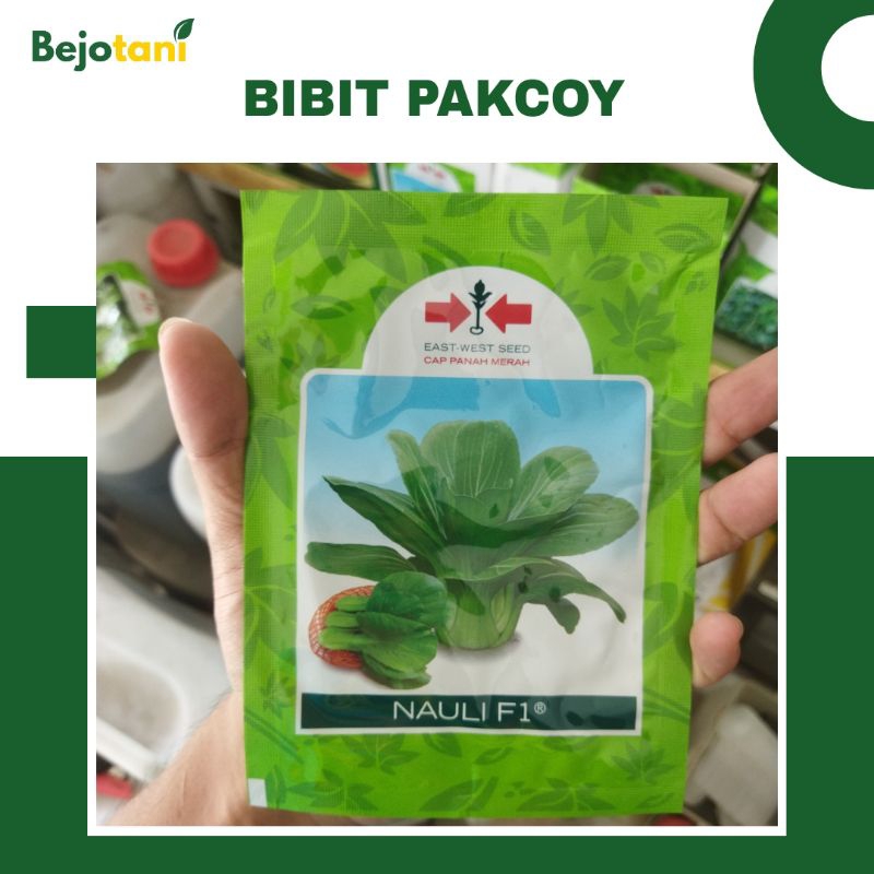 Benih Bibit Pakcoy Nauli F1