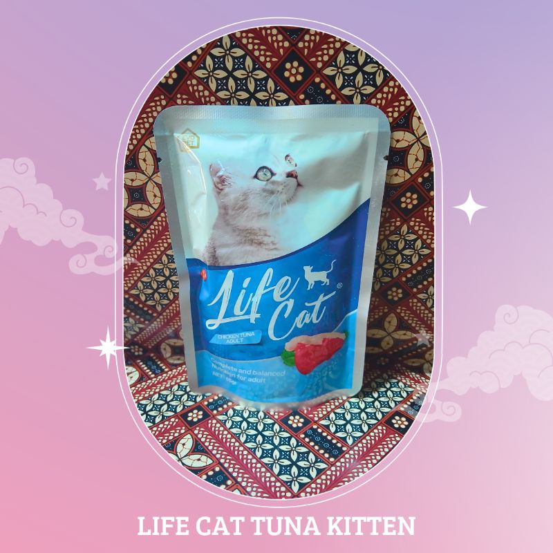 Life cat tuna kitten