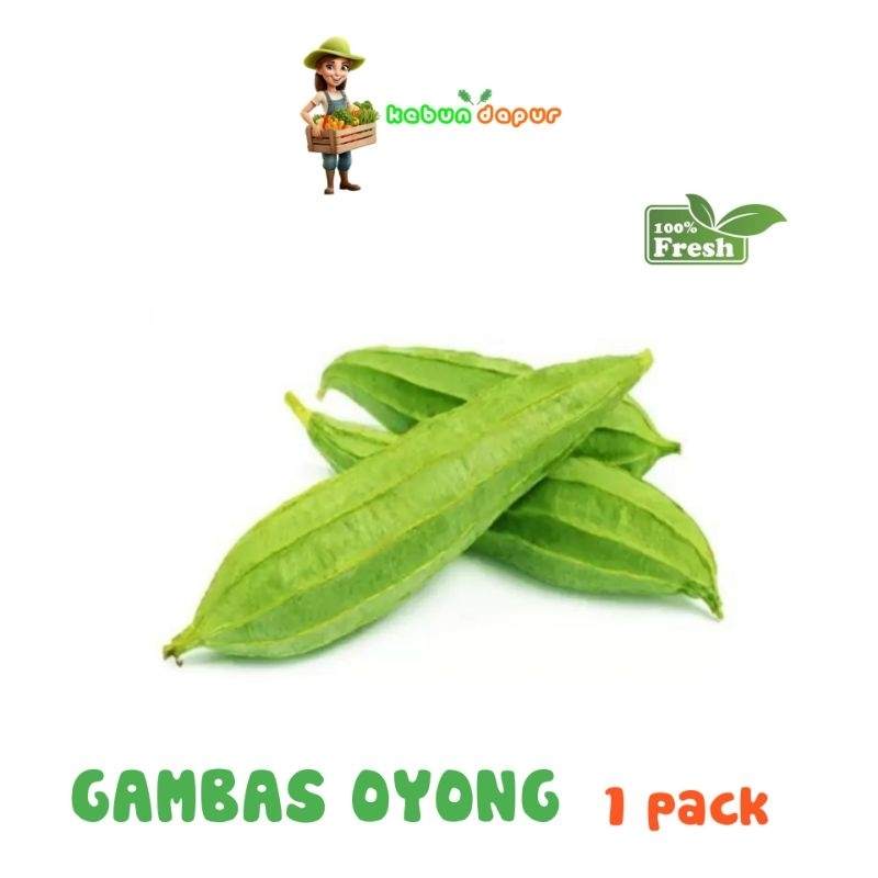 

GAMBAS OYONG FRESH Harga per 1 pack -Kebun Dapur-