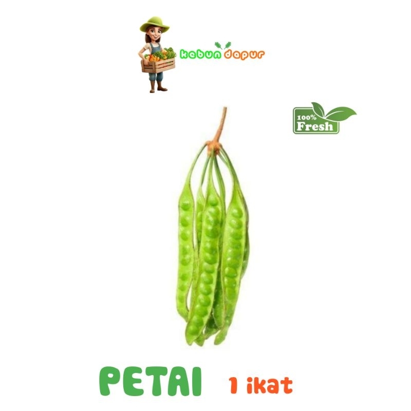 

PETAI FRESH Harga per 1 ikat/pack -Kebun Dapur-