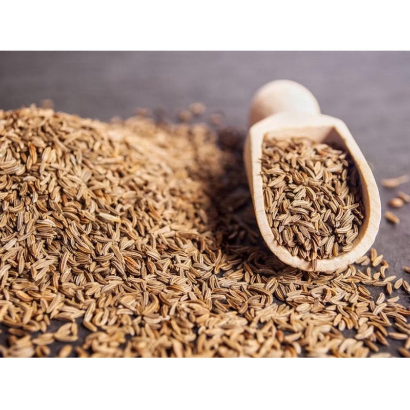 

1kg Caraway Seed / Jintan Masak / Jinten Utuh [Premium Quality]