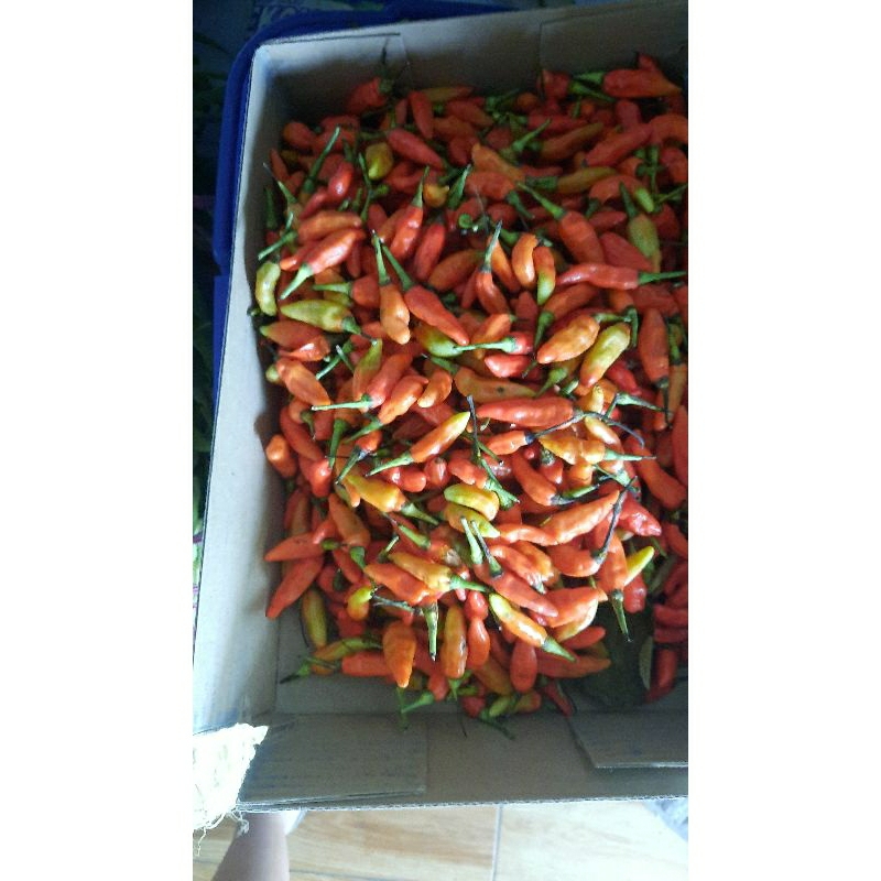 

CABE 1/4kg