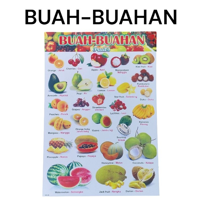 HOT DEALS PAKET 6 LEMBAR POSTER EDUKASI ANAK poster dinding POSTER HURUF POSTER ANGKA POSTER HEWAN
