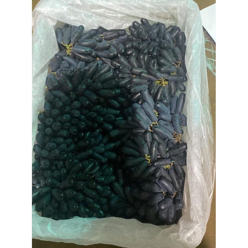 

anggur saphire berat 500gr