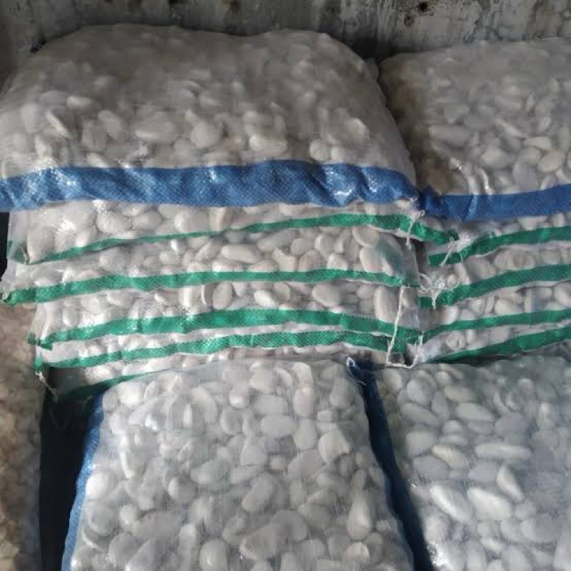 Batu koral putih 1 karung untuk hiasan taman dan pot tanaman