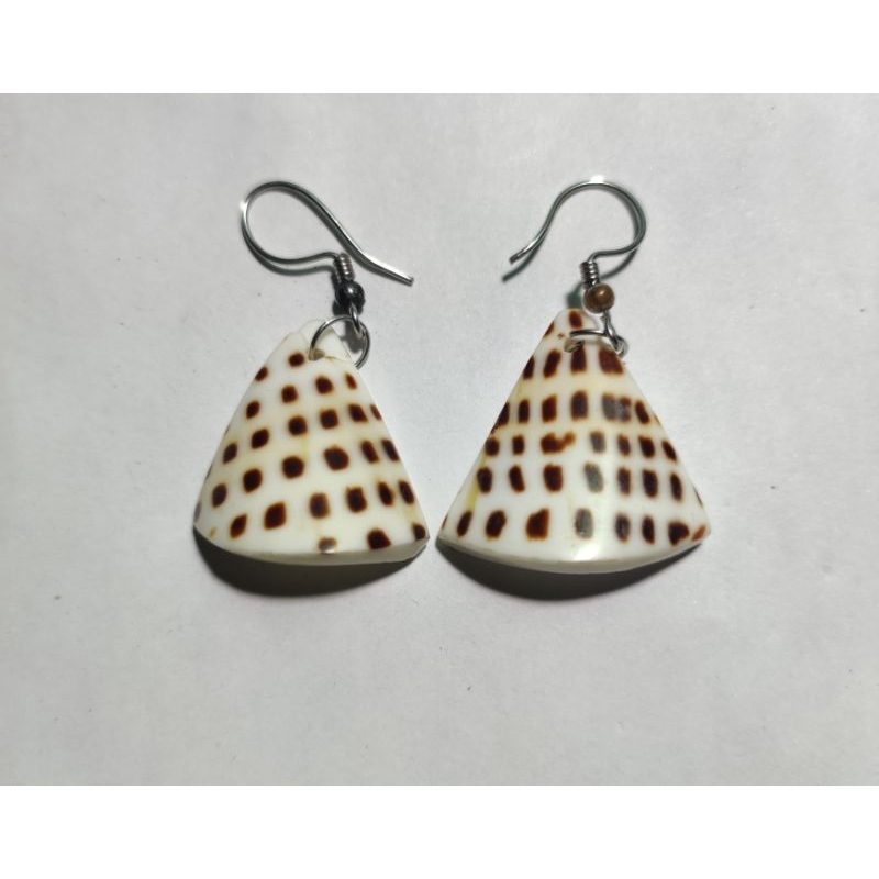 anting kerang conus