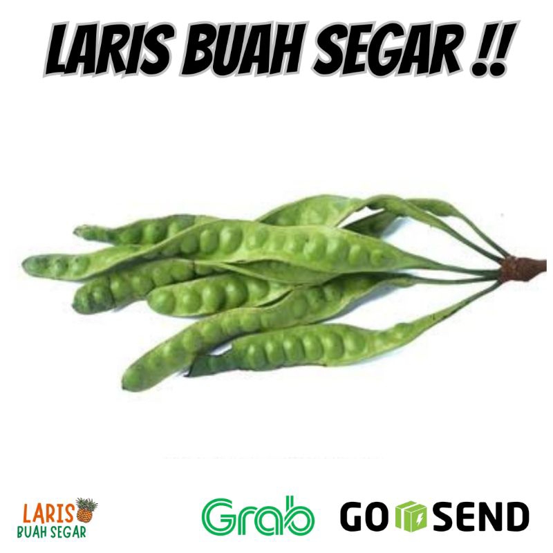 

PETE / PETAI LOKAL 1 PAPAN
