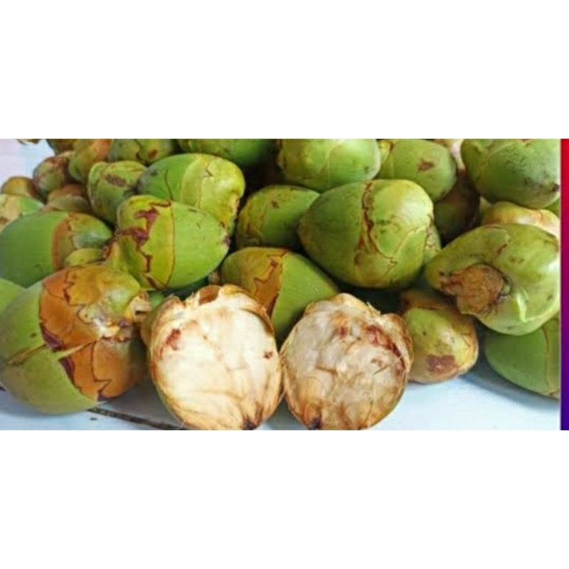 

beluluk kelapa/buah kelapa muda fres