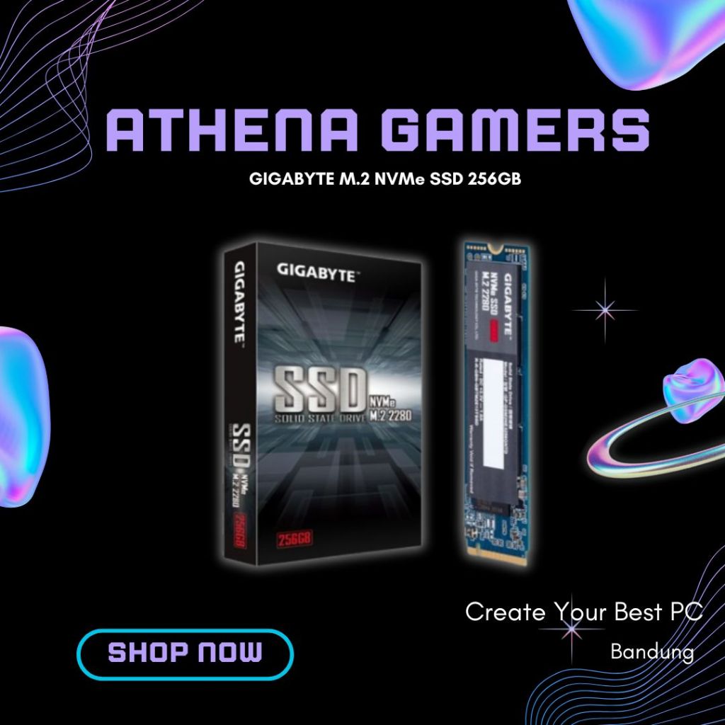GIGABYTE M.2 NVMe SSD 256GB | Athena