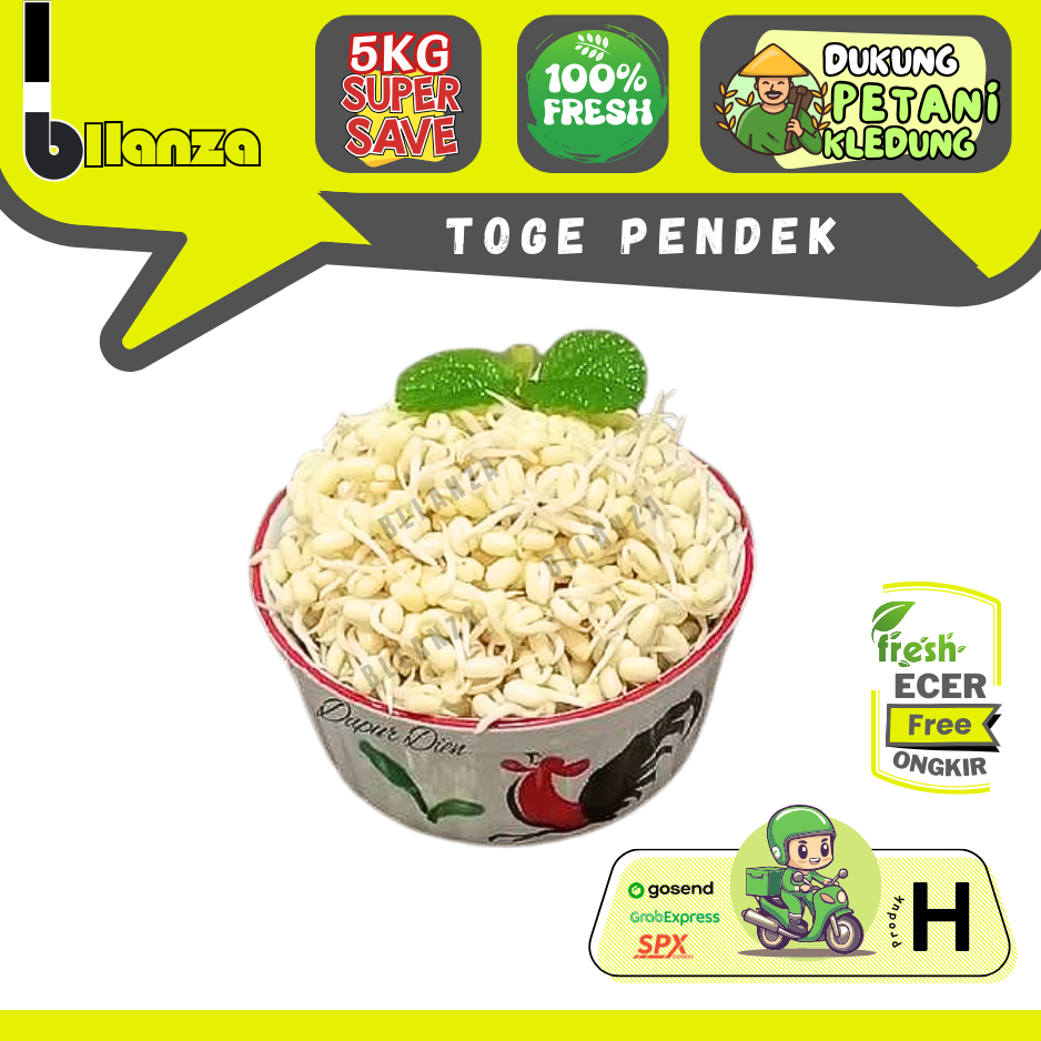 

Bllanza | Toge Pendek / Kecambah — Sahabat Makan Sayur ECER (H)