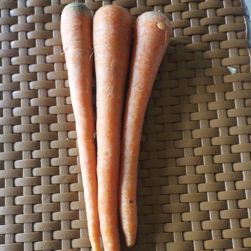 

sayur wortel