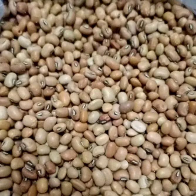 

Kacang tolo / Kacang tunggak / otok lokal pilihan 500gr & 1kg.. bersih, siap masak..