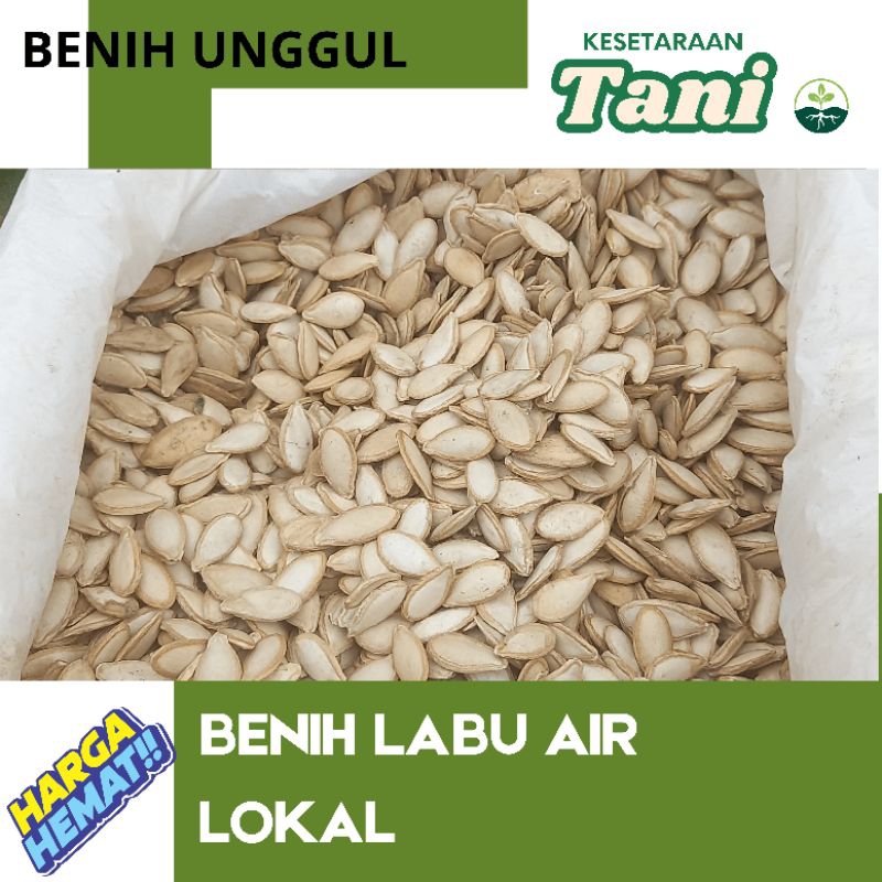 

benih labu air 110 gram
