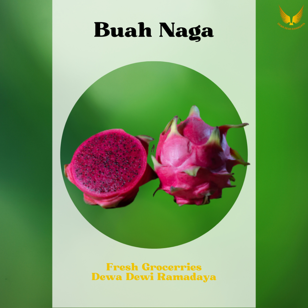 

Buah Naga Organik Dewa Dewi Rama Daya