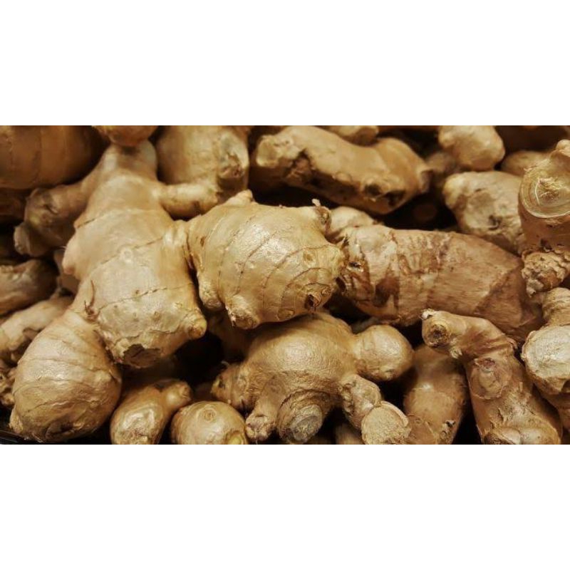 

Rempah/Jahe/kunyit/lengkuas/sereh fresh 1kg