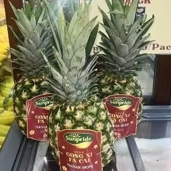 

Buah nanas honi Sunpride edition spesial pcs