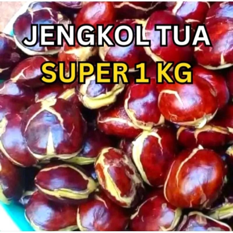 

Jengkol Tua Super 1 KG