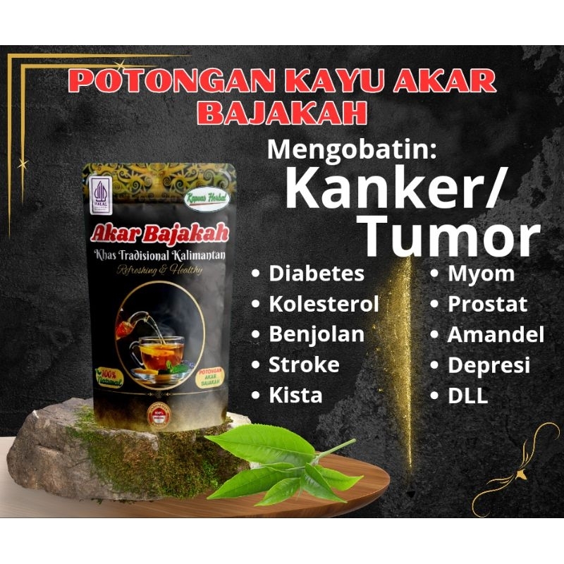 

Potongan Akar Bajakah Asli Kalimantan Obat Herbal Minuman Sehat dapat Mengobati Paru-Paru