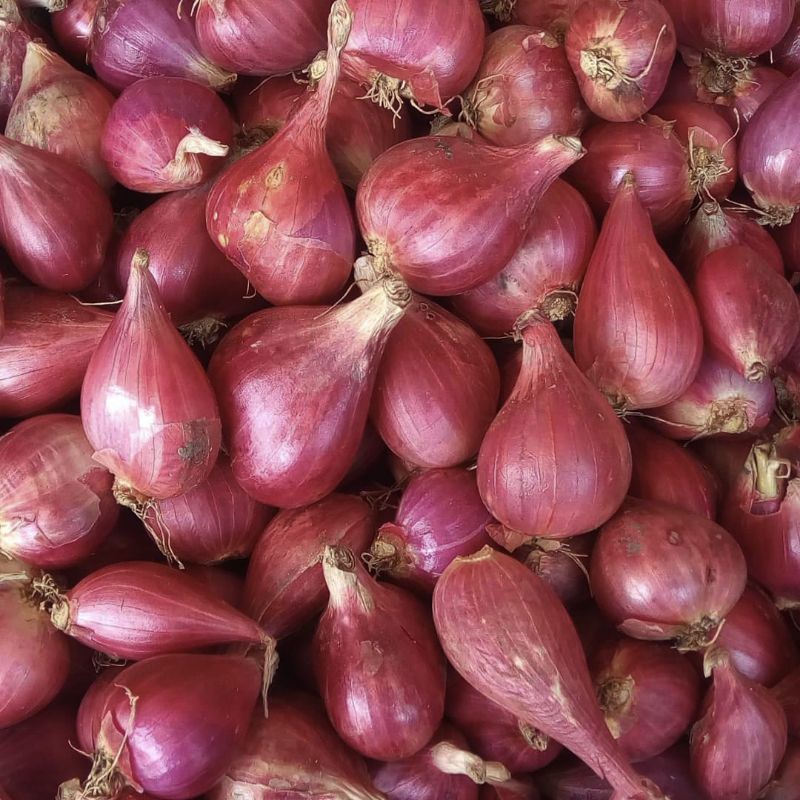 

bawang merah kwalitas terbaik 500 gram