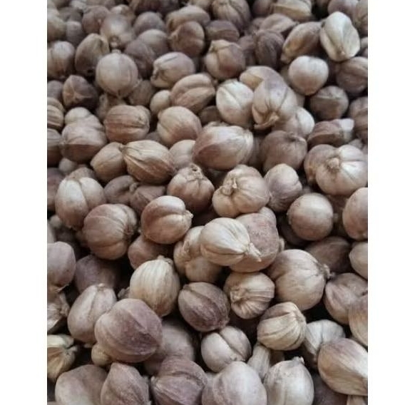 

Kapulaga Jawa Kering tanpa Pemutih