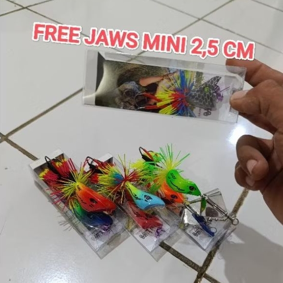 PAKET UMPAN CASTING GABUS DAN TOMAN