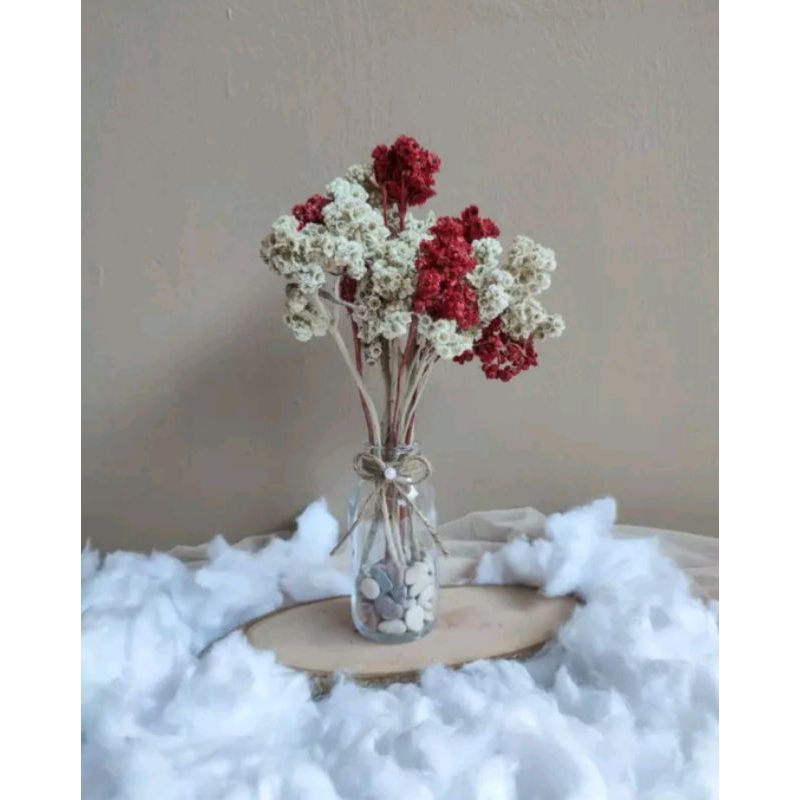 Bunga kering edelweis set vas botol kaca aesthetic