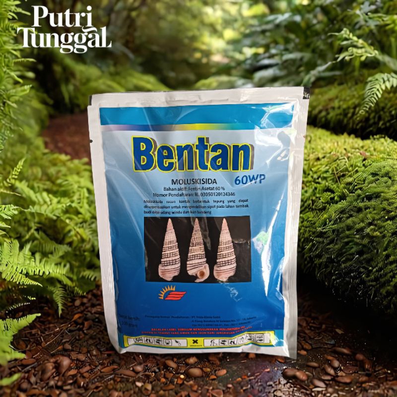 Bentan 50WP Moluskisida pengendali siput
