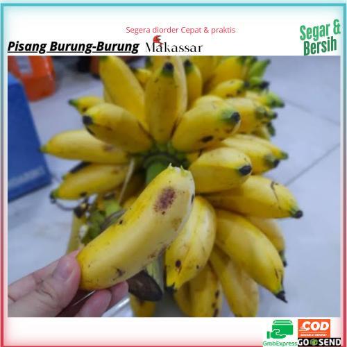 

Pisang burung-burung Murah segar makassar pasar terong dan pasar induk pannampu,pisang kecil,pisang marlin,ecer pisang,grosir pisang,buar segar,pisang makassar,buah makassar,pisang matang,pisang segar,buah vitamin,harga pisang,pisang berkualitas